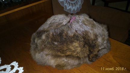 Шапка кроликовая