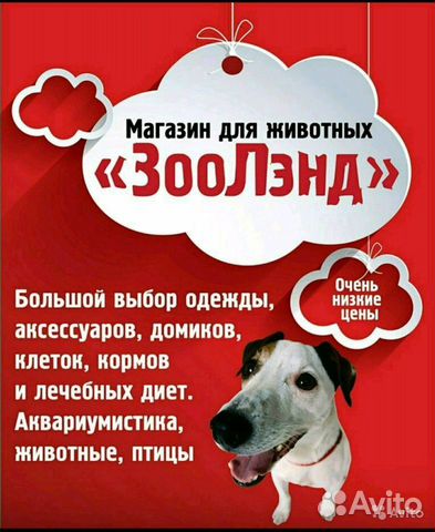 Продавец непродовольственных товаров