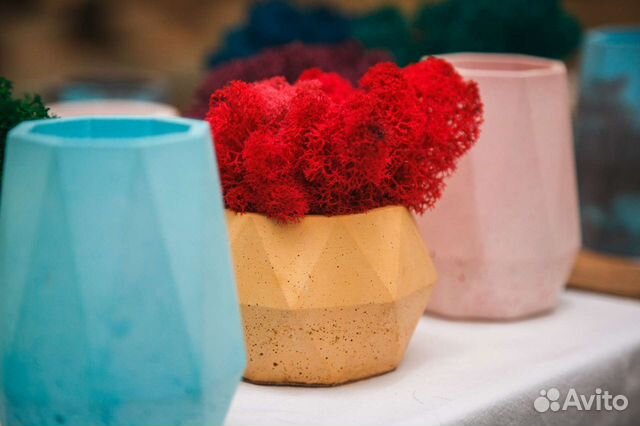 Бетонное кашпо + мох