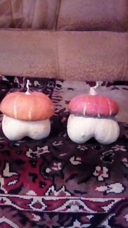 Семена цветов вьюн садовый или декоративная тыква