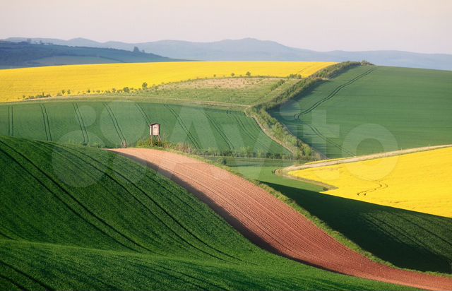 Участок 1000 га (СНТ, ДНП)