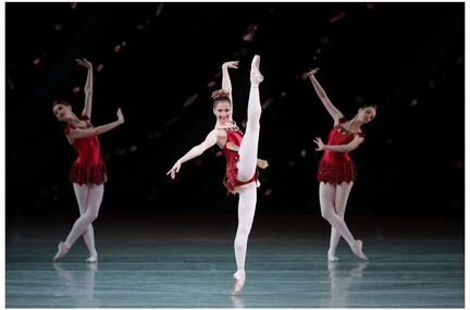 Билеты в театры, цирк, экскурсии