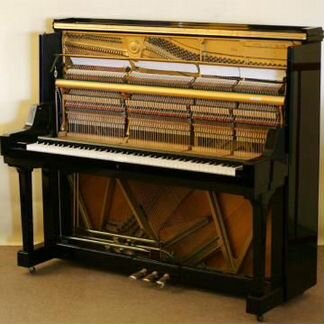 Настройщик фортепиано (пианино)