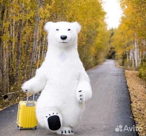 Белый Мишка