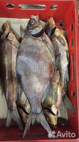 Снеки. Рыба. Сыры. Орехи