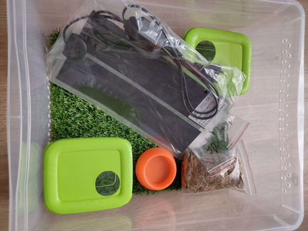 Террариум для содержания рептилий