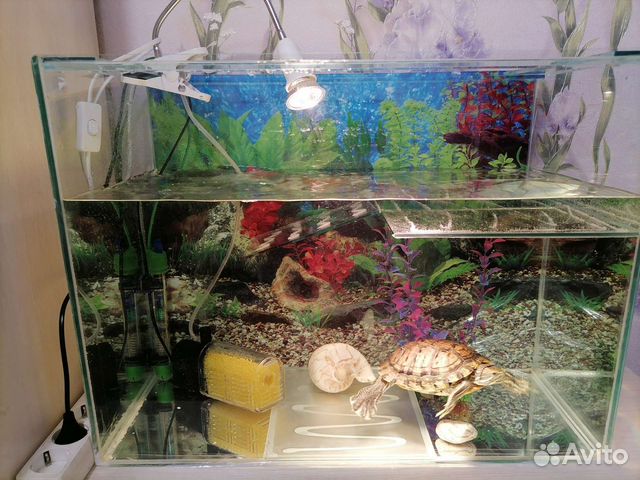 Аквариум