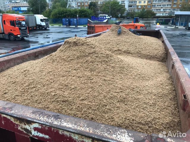 Пивная дробина влажная купить в Ядрине | Животные и зоотовары | Авито