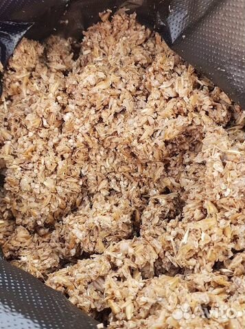 Продается пивная дробина (солод)