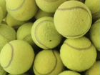 Теннисные мячи объявление продам