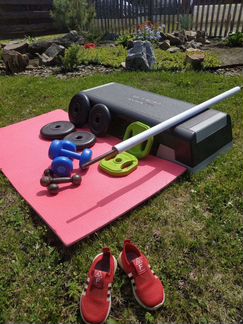 Гриф прямой. Гантели. степ-платформа