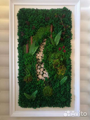 Стабилизированный мох Картины Фитокартины