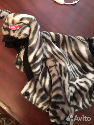 Одежда для собак