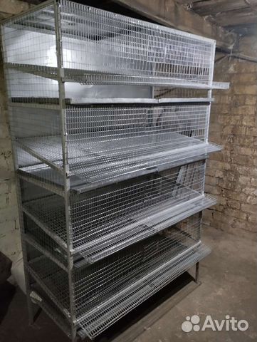 Клетки для перепелов