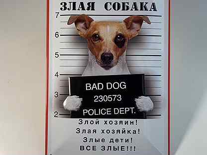 Самый Свежий Секс Пьяных Женщин Собаками