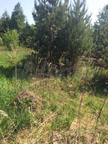 Участок 10,4 сот. (СНТ, ДНП)