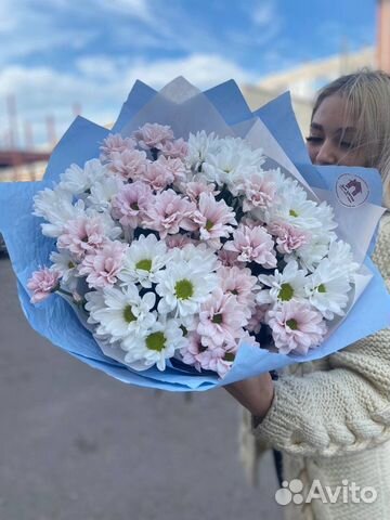 Хризантема кустовая оптом и в розницу Красноярск