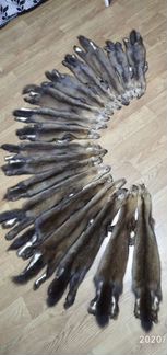 Шкурки соболя