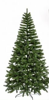 Ёлка Европейская