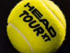 Мячи теннисные head tour XT объявление продам