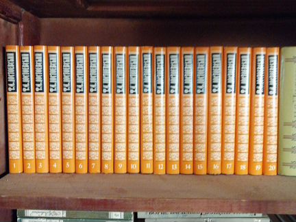 Ф.М.Достоевский.Собрание сочинений в 20 т. Терра