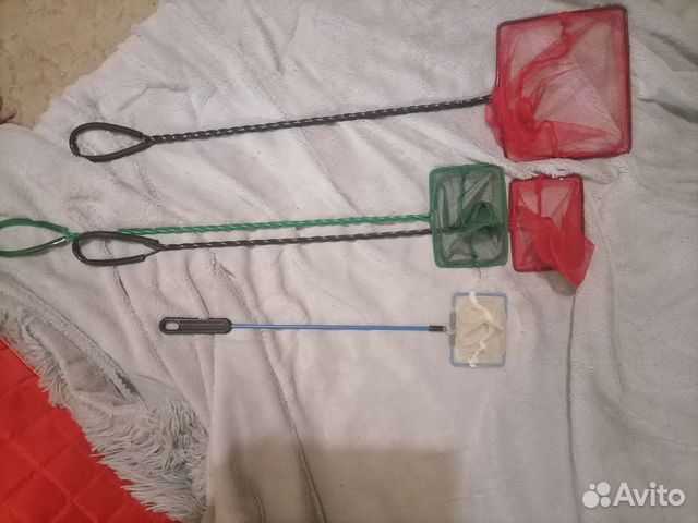 Растения. Оборудование для аквариума