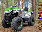 Квадроцикл promax forest hunter 300 LUX объявление продам