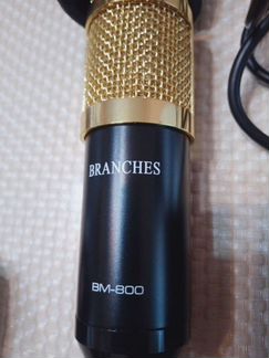 Микрофон BM 800