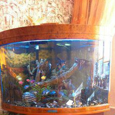 Продам аквариум Джебо- R470