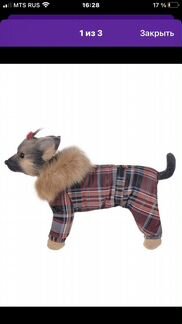 Одежда для собак