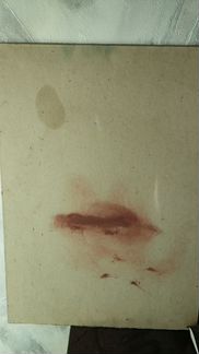 Картина Сирень