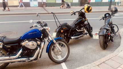Sissy bar, спинка для Harley Davidson Dyna