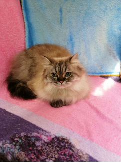 Бейби фейс голубые глаза