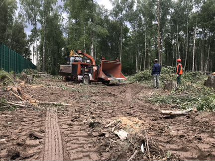 Пилим аварийные деревья по москве, мо.РФ