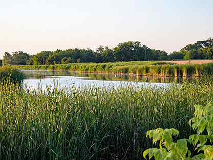 Погода львовское краснодарский село край северский. Село Львовское Краснодарский край. Село Львовское Северский район. Станица Львовская Краснодарский. С Львовское Северского района Краснодарского края.