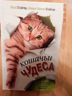 Кошачьи чудеса