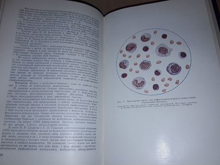 Кассирский И. Клиническая гематология. 1955 г