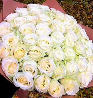 Розы с доставкой