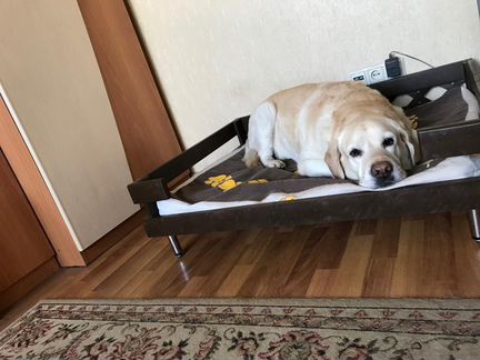 Лежаки из дерева