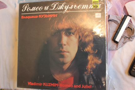 Виниловые пластинки владимир кузьмин
