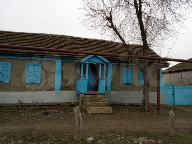 Погода в селе чернолесском. Село Чернолесское Ставропольский край. Село Чернолесское Новоселицкого района. Село Новоселицкое Ставропольский край. Село Чернолесское улица свободная.