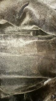 Пальто мужское осеннее